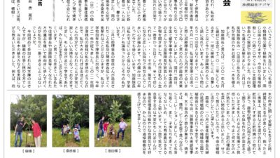 沙漠緑化通信第51号